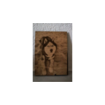 Snapshot_138