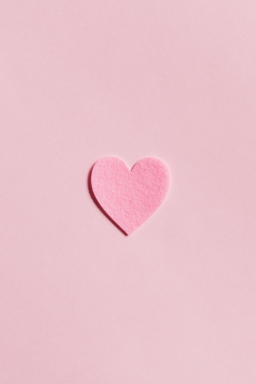 photos gratuites de agencement amour amoureux