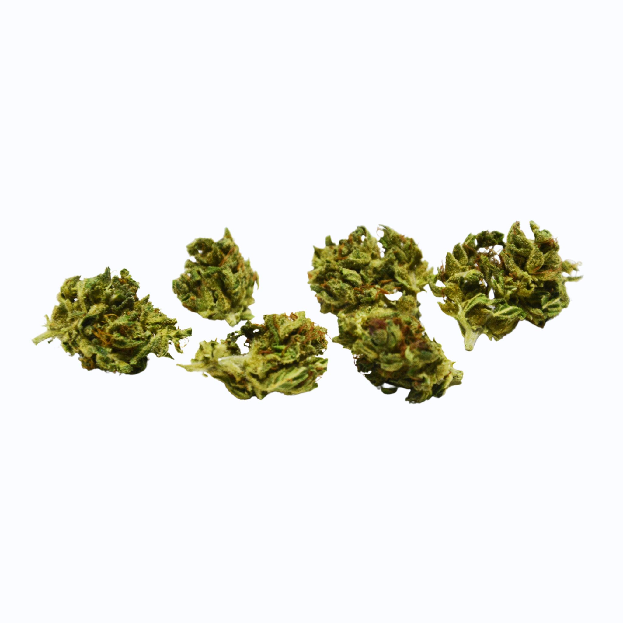 Small buds Girl Scout Cookies