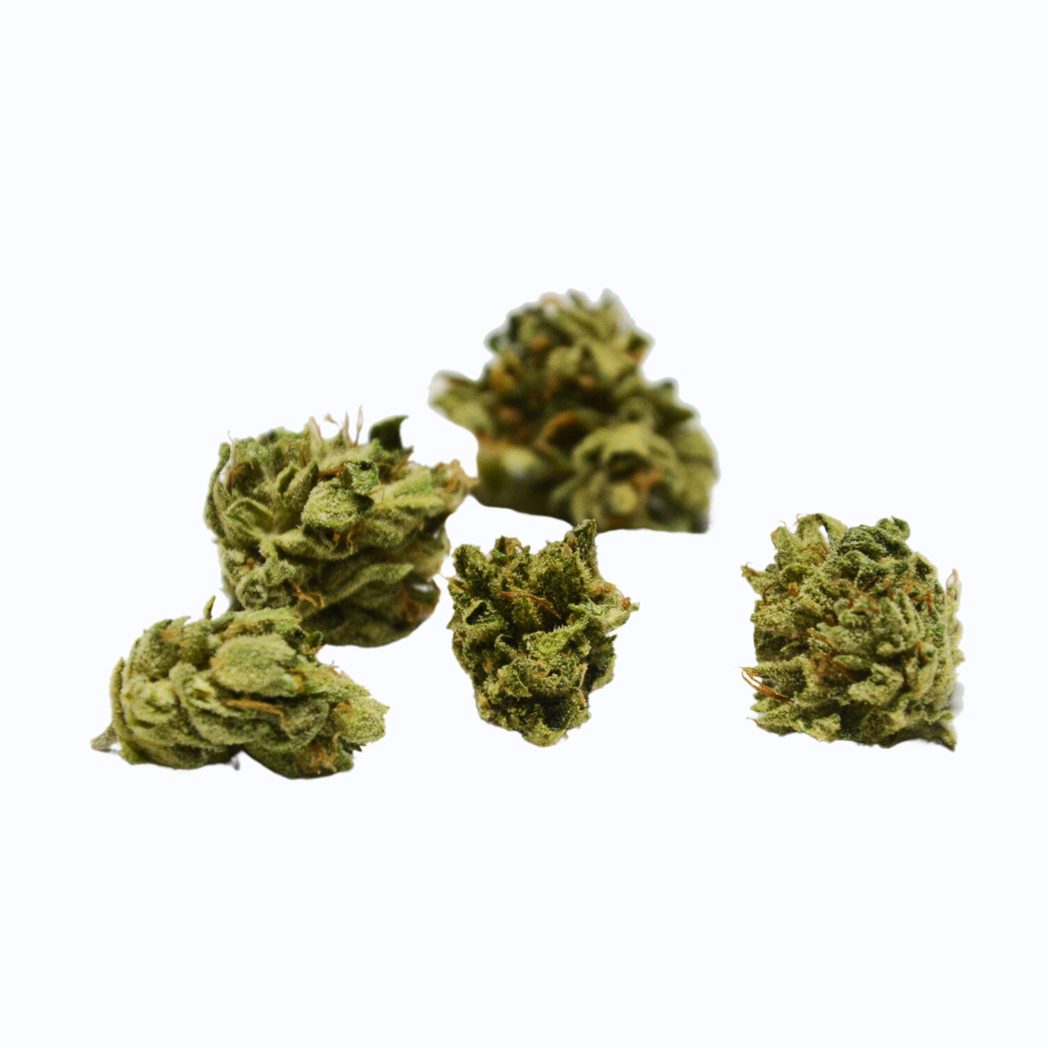 Small buds White CBG