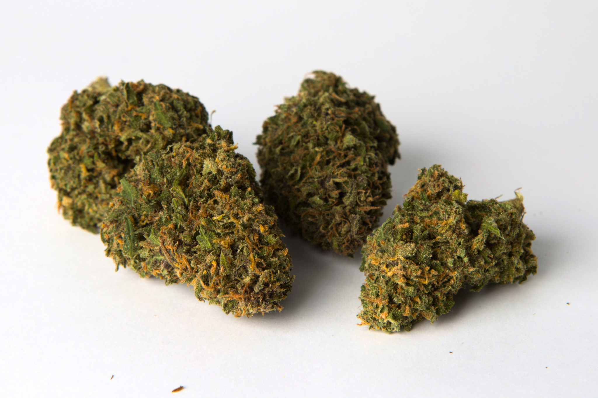 -33% SUR TOUTE LA BOUTIQUE CBD BIO avec le code promo LEMAIRE33 jusquau 31-12-24. (12)