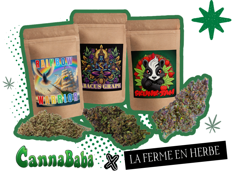 la ferme en herbe x cannababa