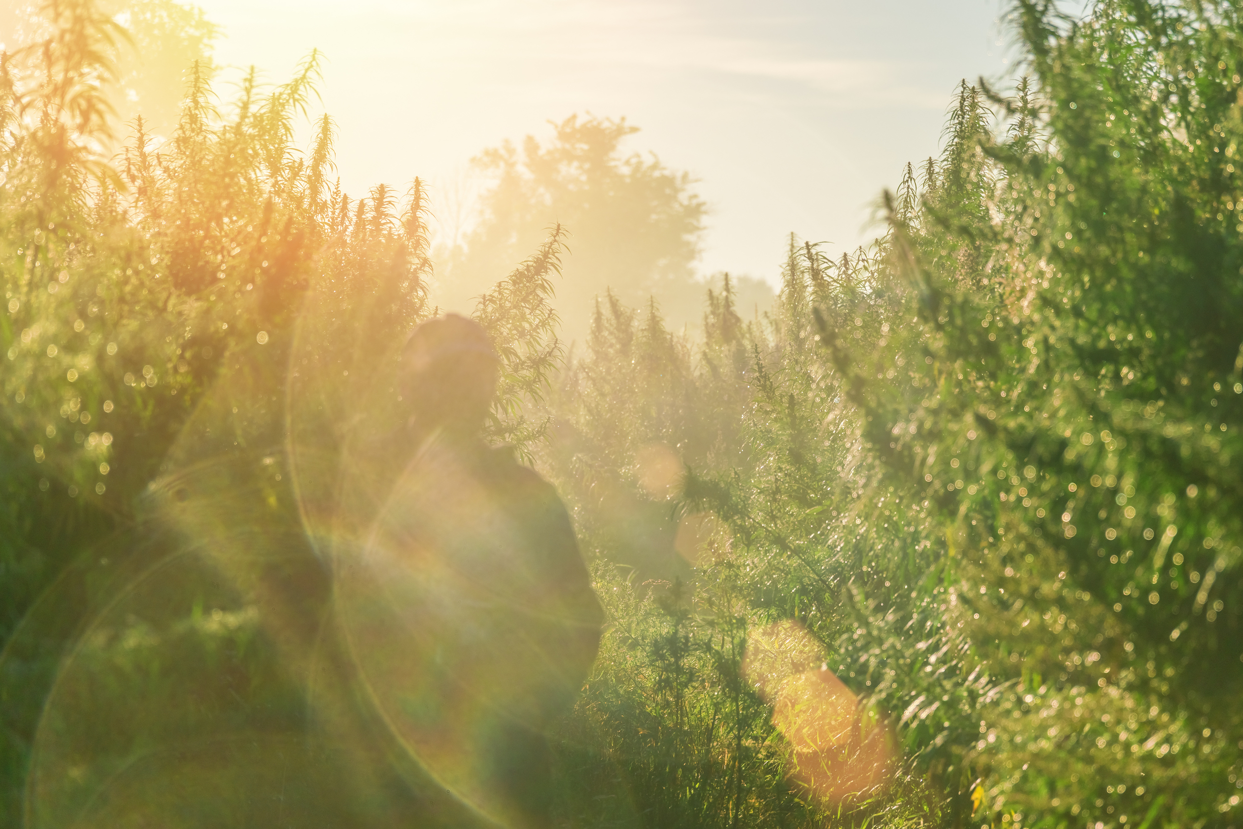 adobestock 178802049