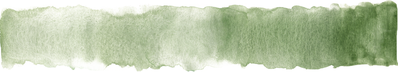Producteur CBD en Provence