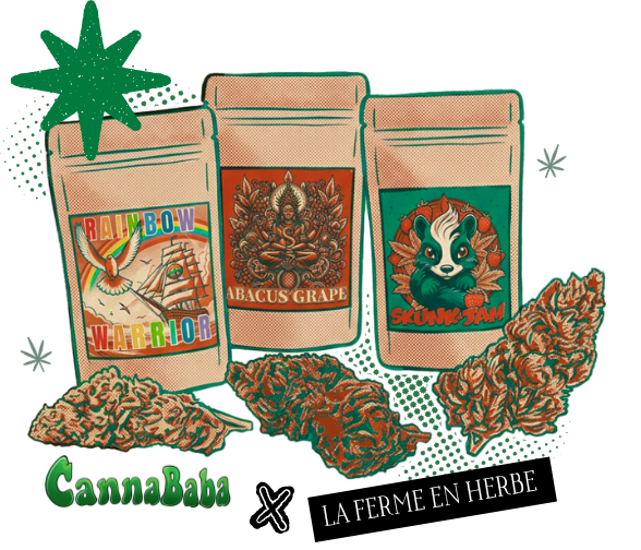 Pack dégustation CBD La Ferme en Herbe x Cannababa