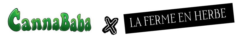 Collaboration CBD La Ferme en Herbe x Cannababa