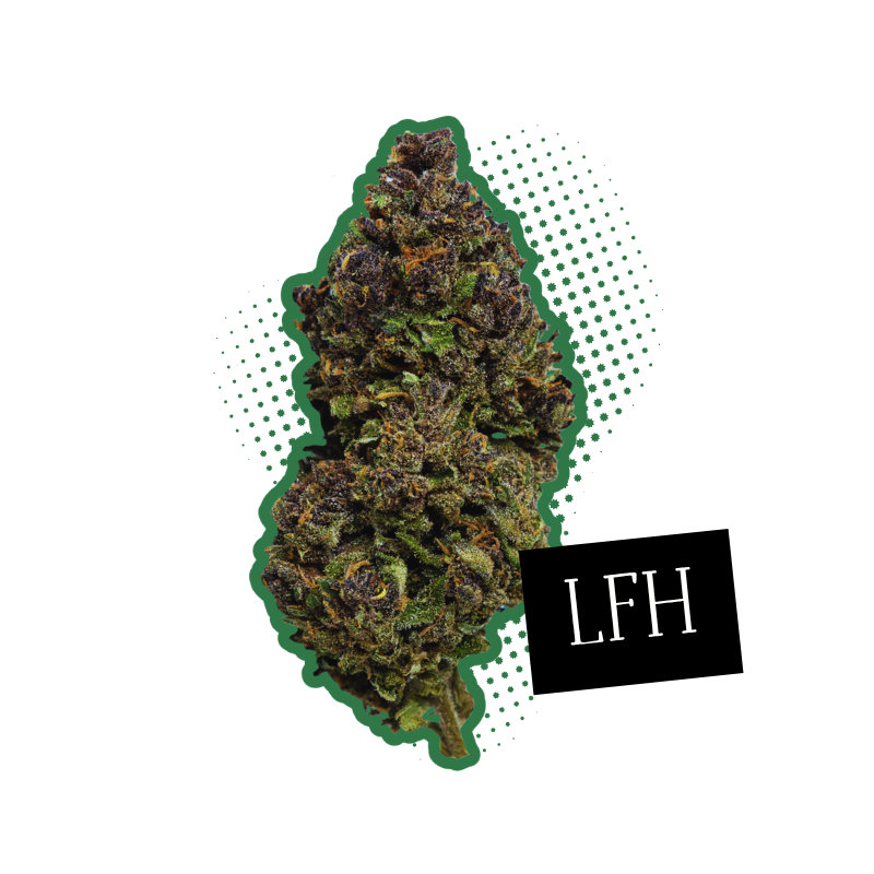 Purple Cake CBD