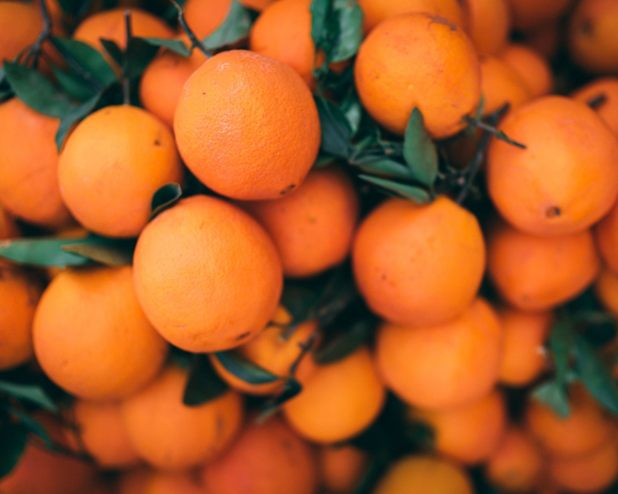 Orange douce