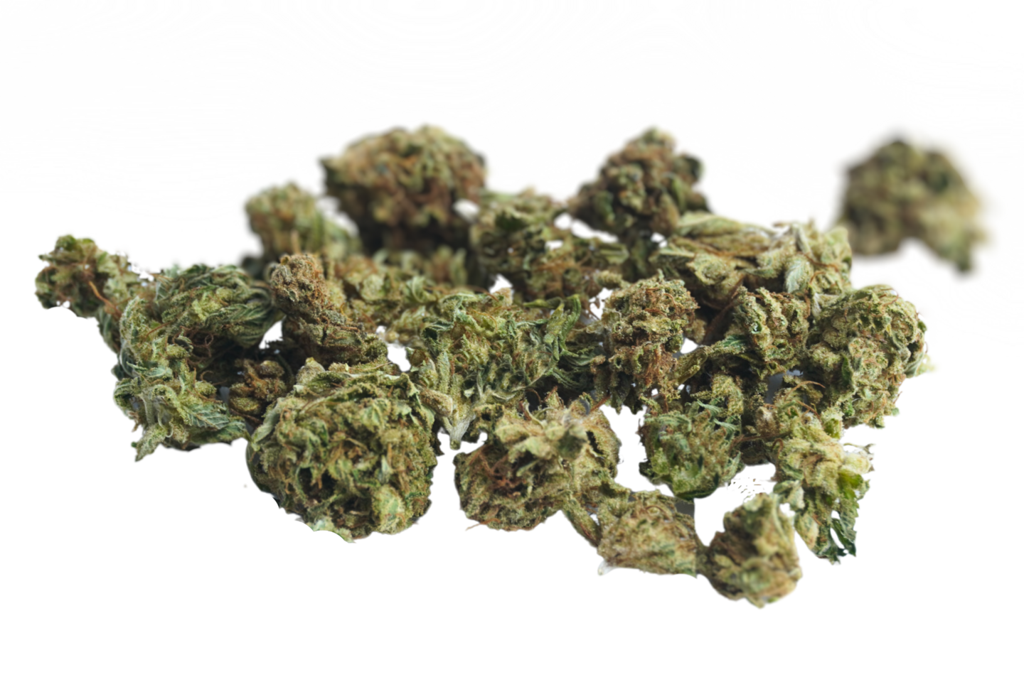 Small buds Peach Mint Kush Nos Fleurs Petits prix LFH