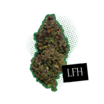 fleur cbd lfh