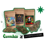la ferme en herbe x cannababa