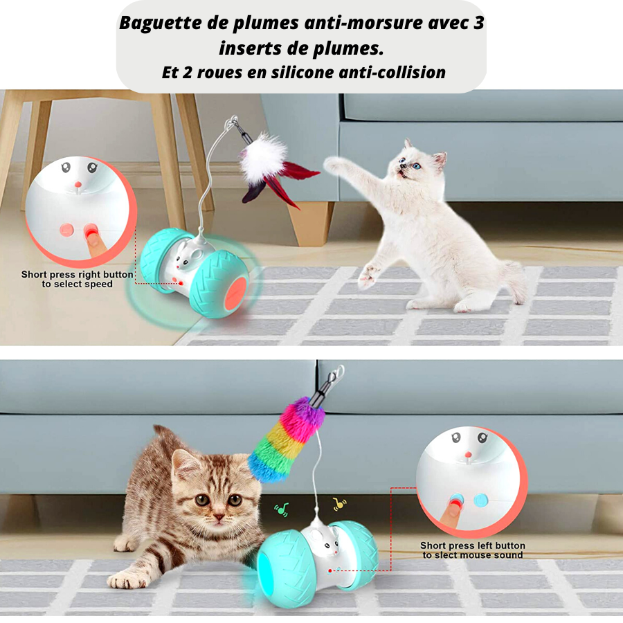Robot LED interactif à plumes pour chats - Petits Compagnons