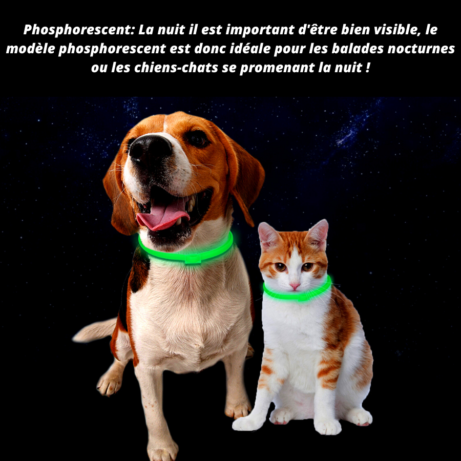Effet de fluorescence : Le collier lumineux peut aider à identifier votre chien ou chat la nuit,