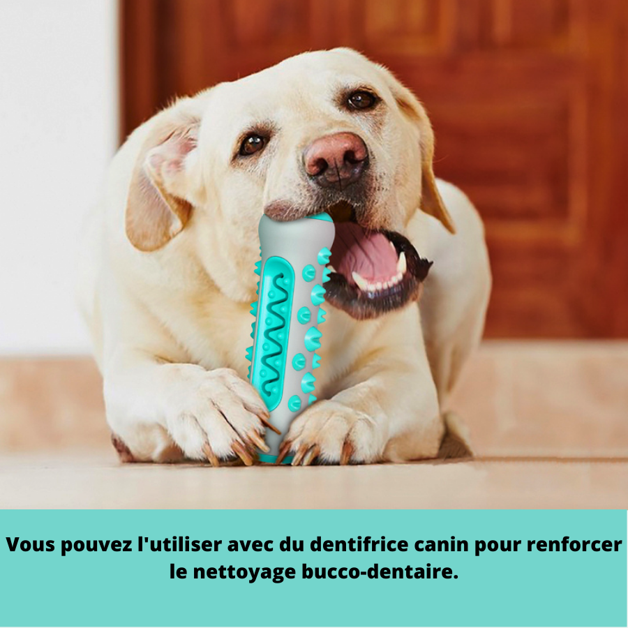 Vous pouvez lutiliser avec du dentifrice canin pour renforcer le nettoyage bucco-dentaire