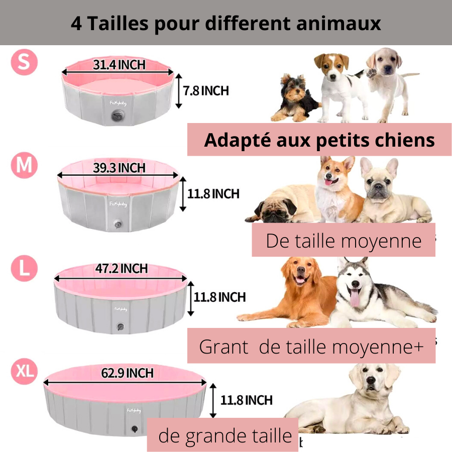 4 Tailles pour different animaux