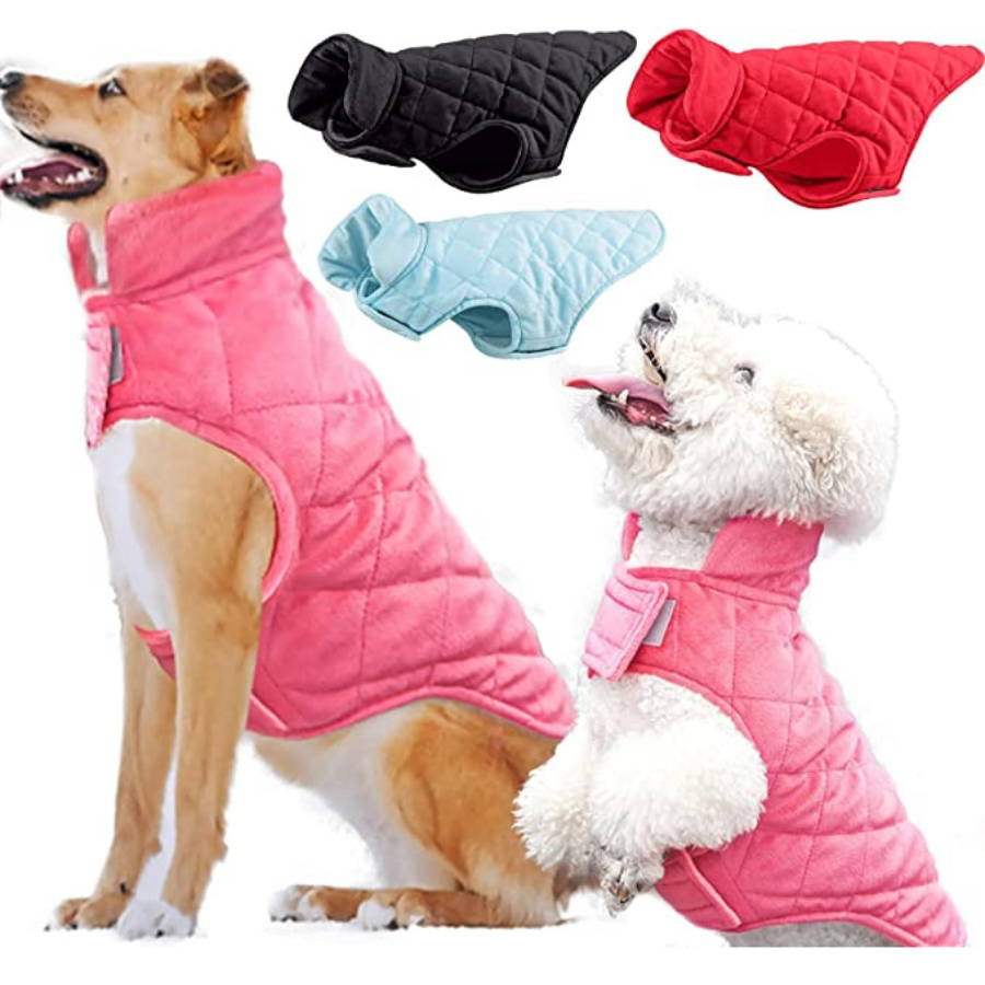 Manteau d\'hiver en velours épais pour chien