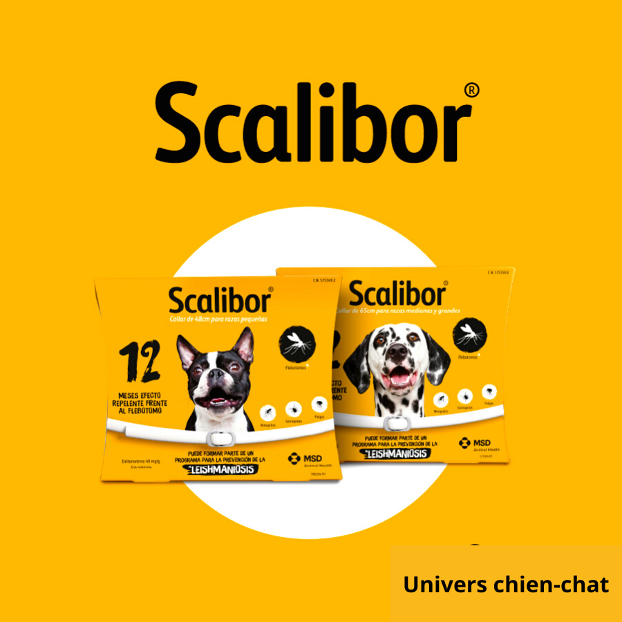 Collier Scalibor anti-puces Antiparasitaire pour animaux de compagnie