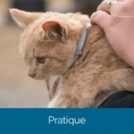 Collier Anti-Puces Et Anti-Tiques Seresto Antiparasitaire pour chat ;