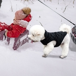 Manteau-d-hiver-en-velours-pais-pour-chien-veste-r-fl-chissante-chaud-rembourr-pour-chiot