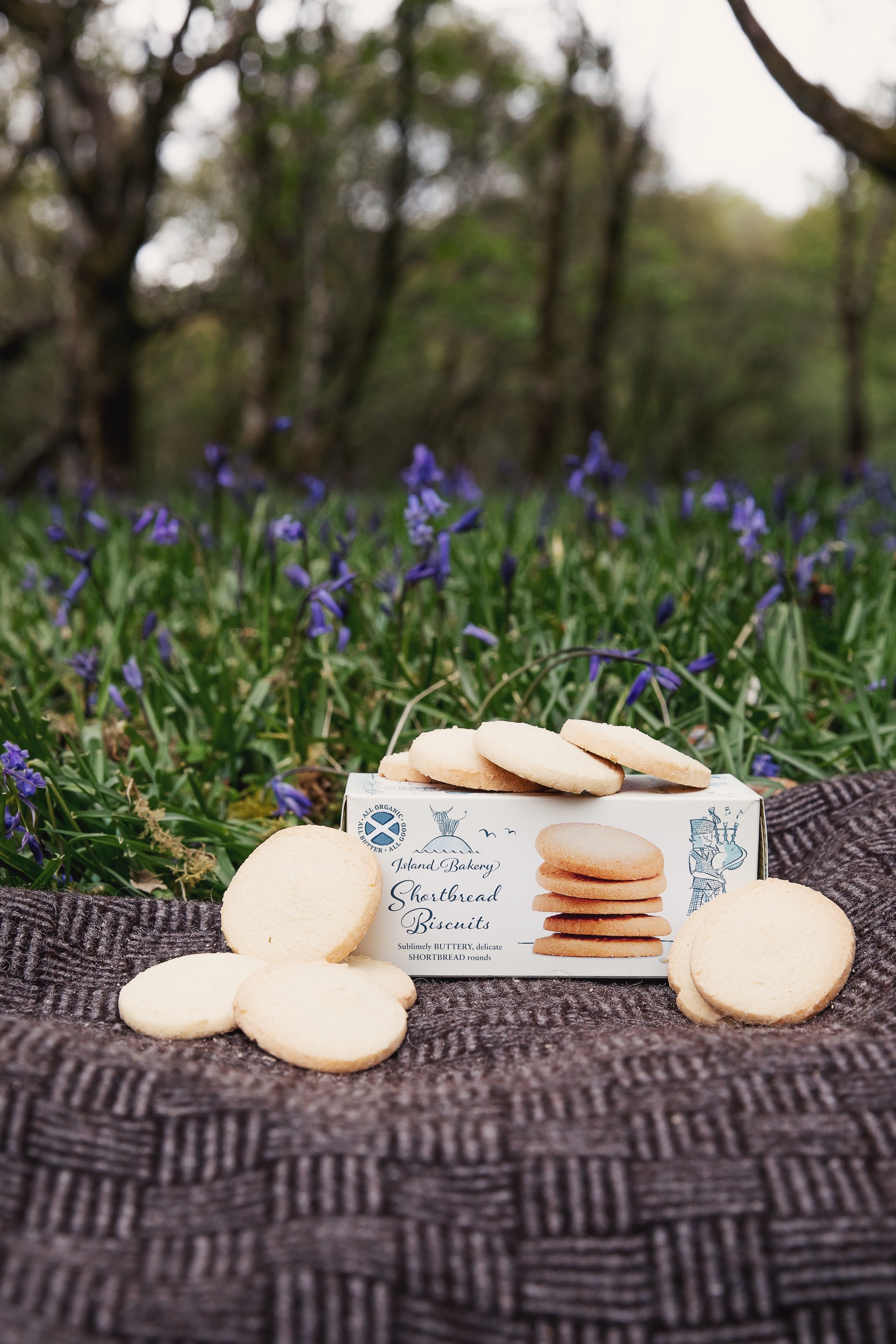 Biscuits Shortbread (pur beurre)