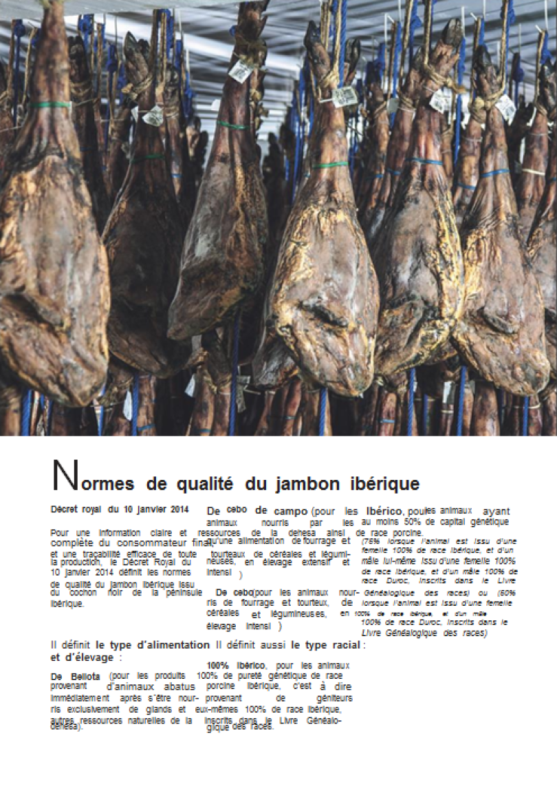 Jambon 100% Ibérique Bellota -Pata Negra-