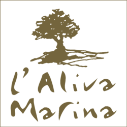 L' aliva Marina huile d' olive Corse AOP