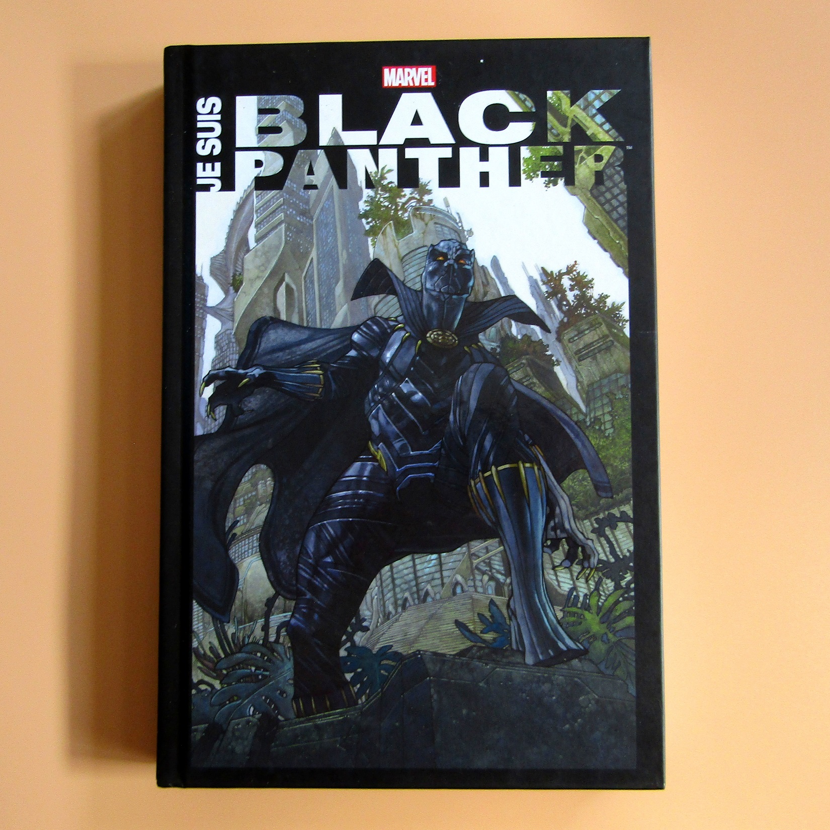 BD. Comics. Je suis Black Panther. Panini Marvel. 2018