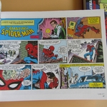 Comics. Marvel. Amazing Spider-man Vol 1 et 2. Les Comic Strips 1977-1981