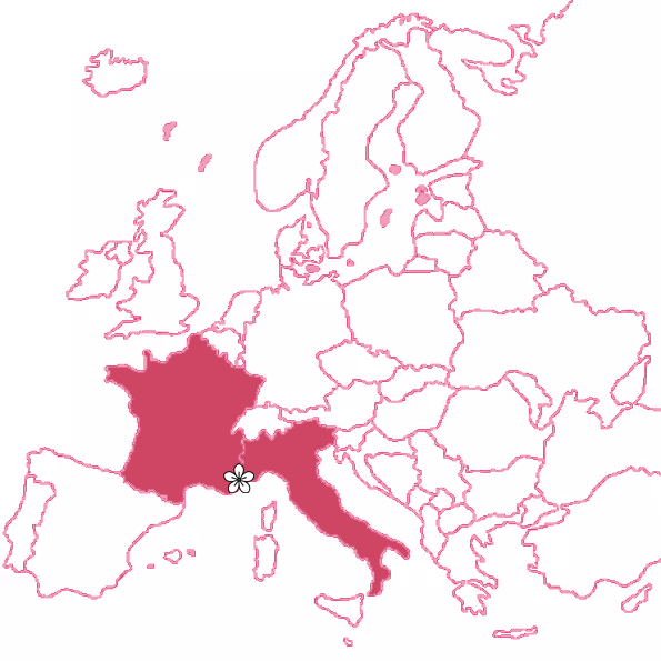 carte tissu
