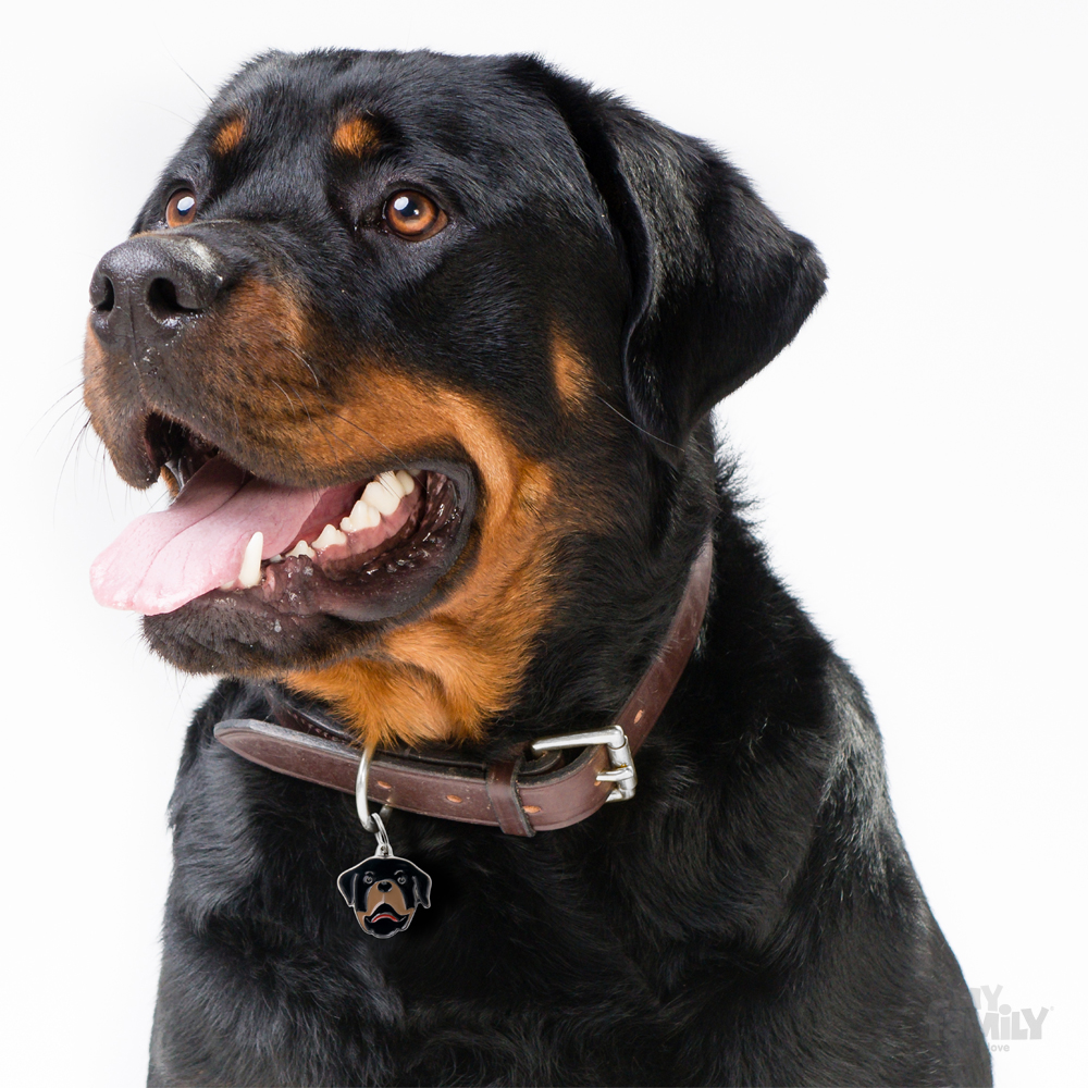 0027508_rottweiler-id-dog-tag