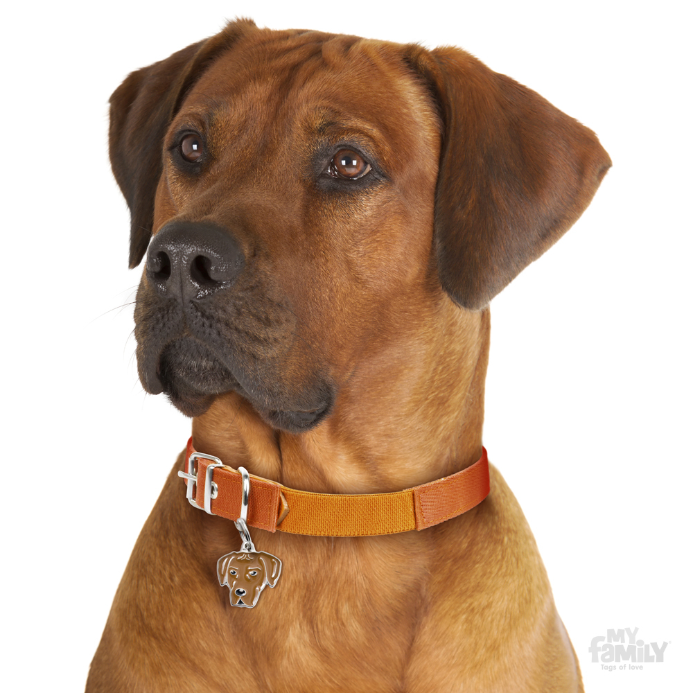 0027433_rhodesian-ridgeback-dog-tag