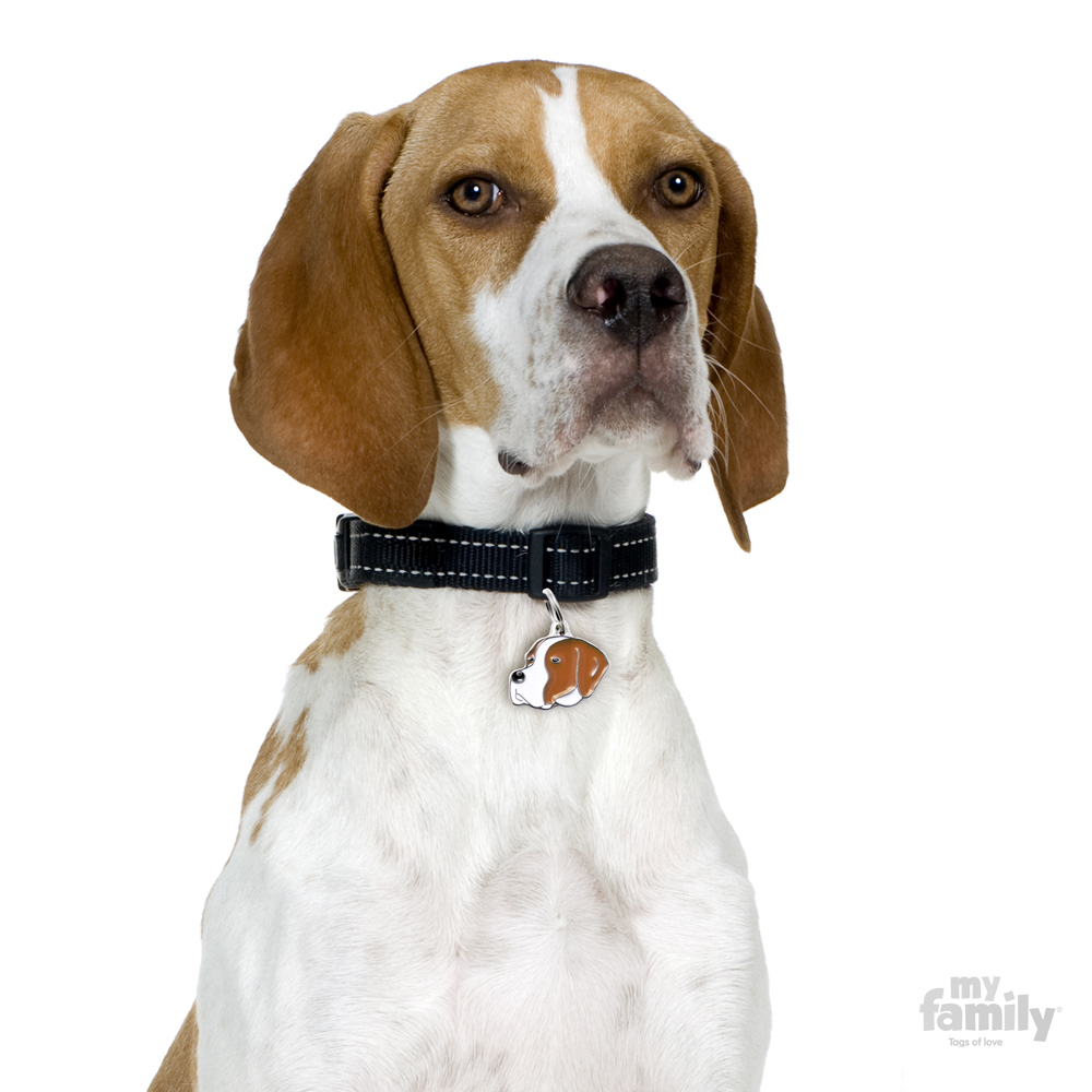 0026922_english-pointer-dog-tag