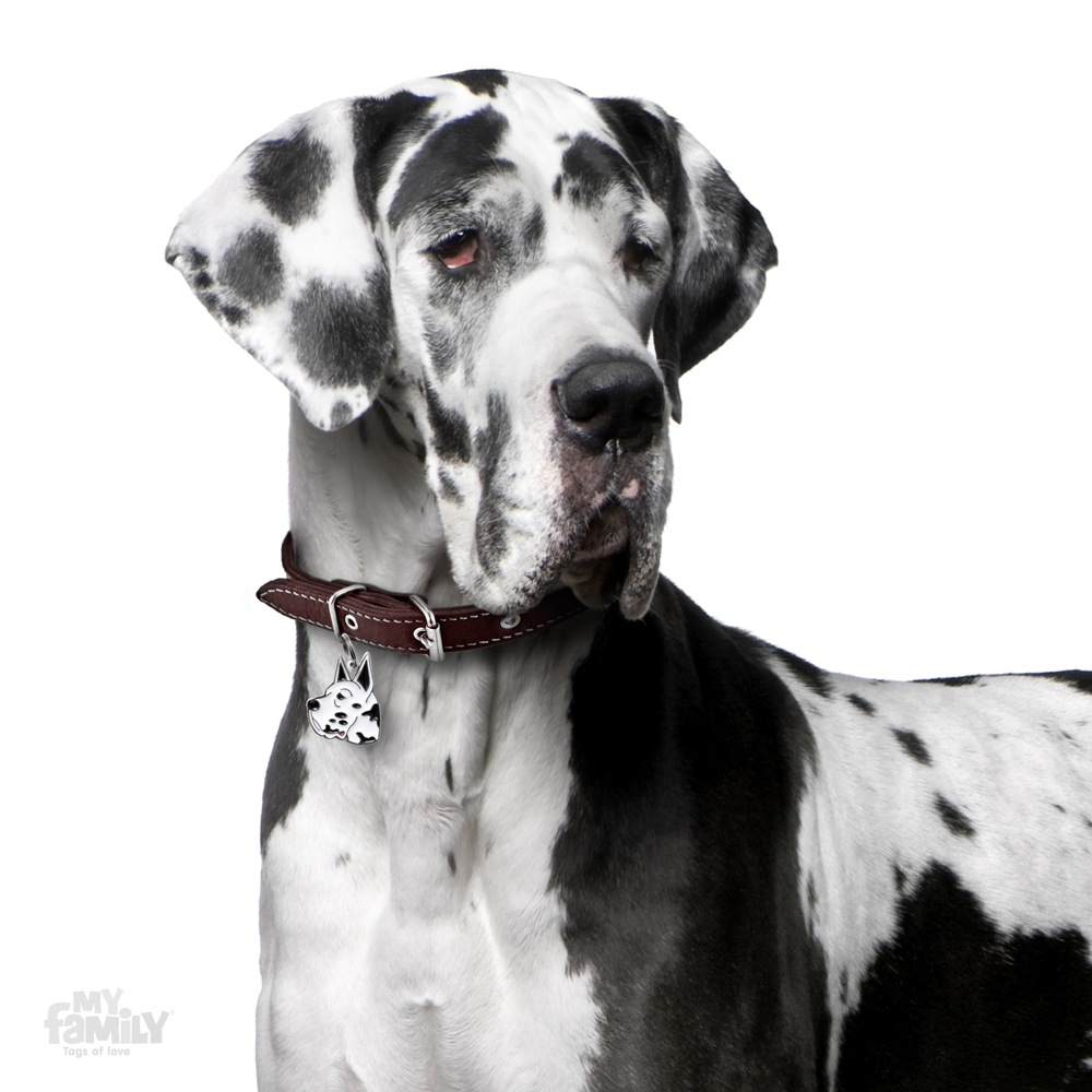 0027273_great-dane-arlequin-dog-tag