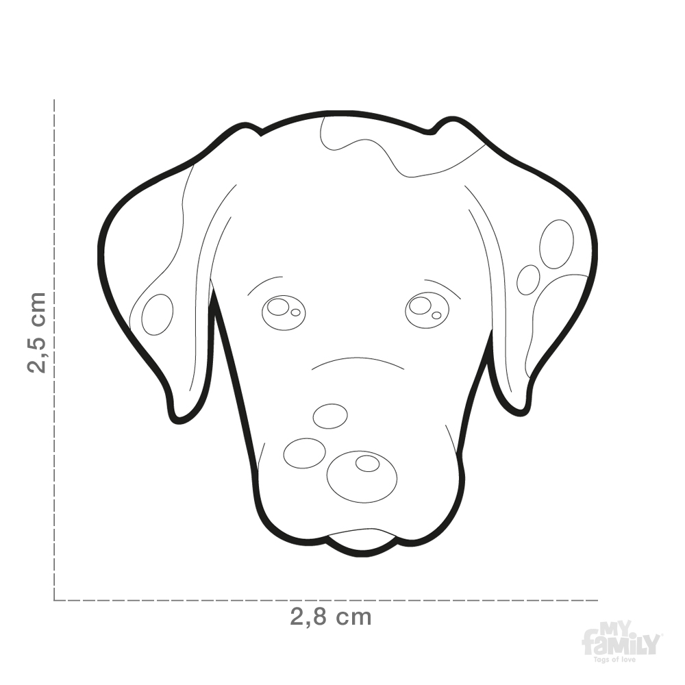 0027479_dalmatian-dog-tag