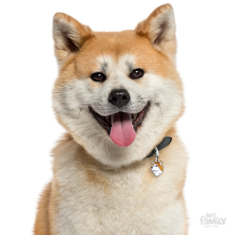 0027378_shiba-inu-dog-tag