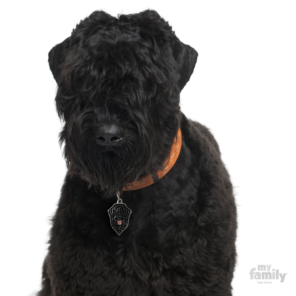0026712_russian-black-terrier-dog-tag