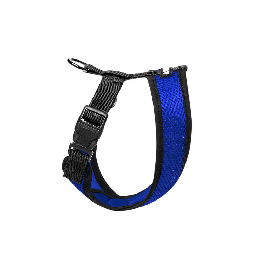 blue-comfort-x-head-in-harness-side-view-1024x1024_1260x