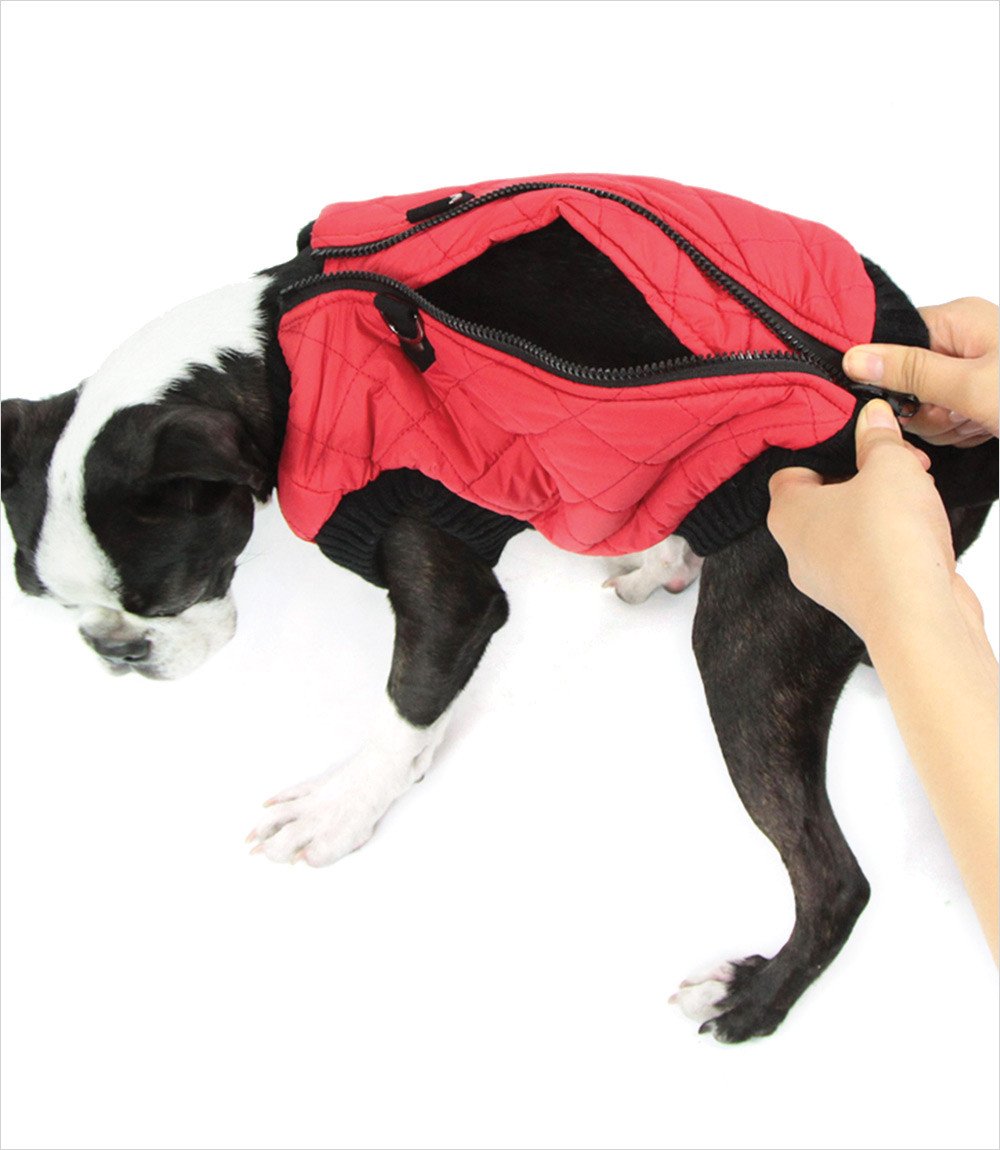 Quilted-Dog-Vest-Zipped-Up_pu_444d5f7a-6bb6-4651-807b-5eebe63f136c