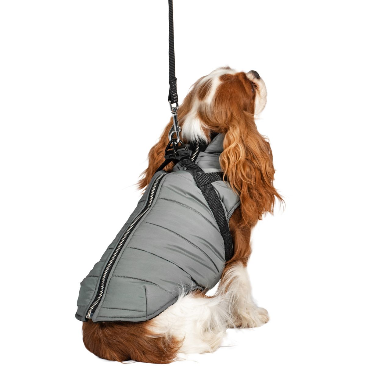 Manteau Imperméable Avec Harnais Intégré Pour Chien Taille Moyenne/grande - Réfléchissant, Réglable