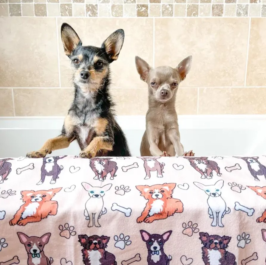 Serviette pour chien et chat Olchi de la marque Puppia