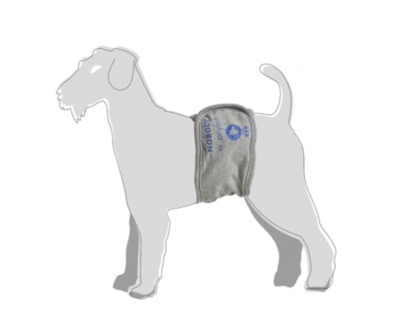 Bandeau anti-pipi DENIM pour chien mâle