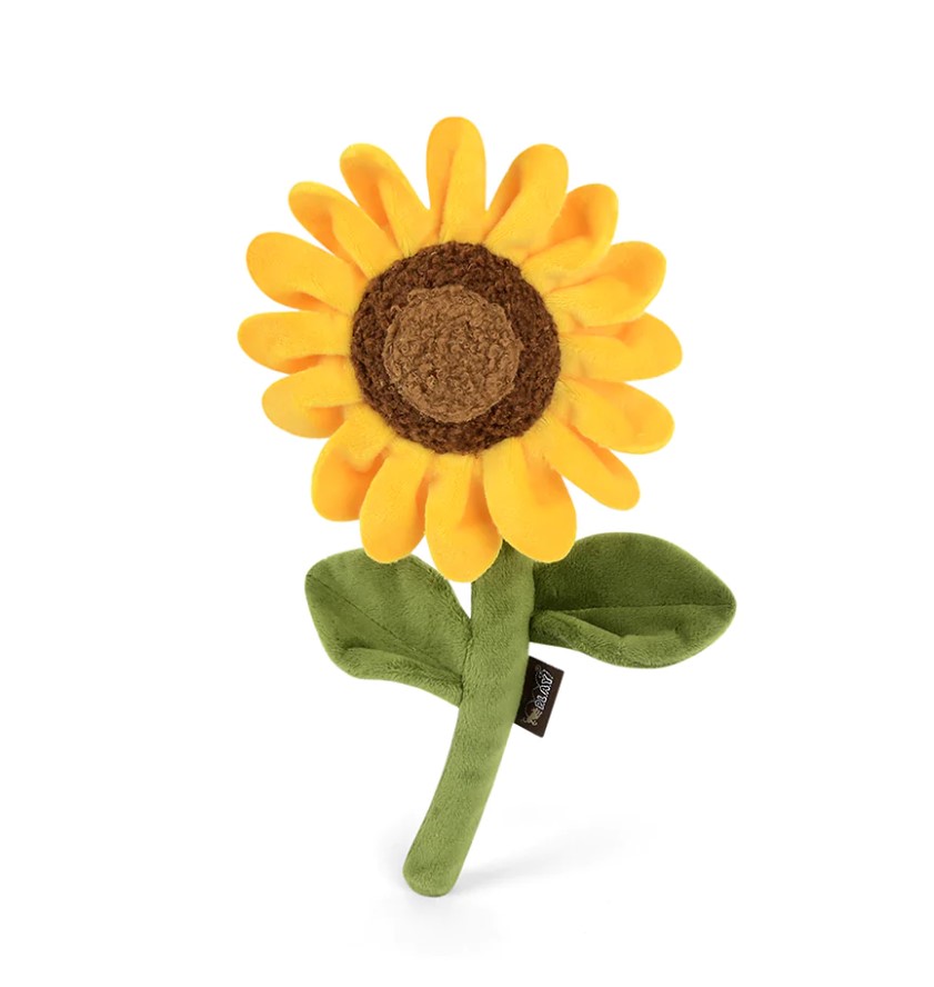 Le Tournesol impertinent - P.L.A.Y. Pet Lifestyle and you