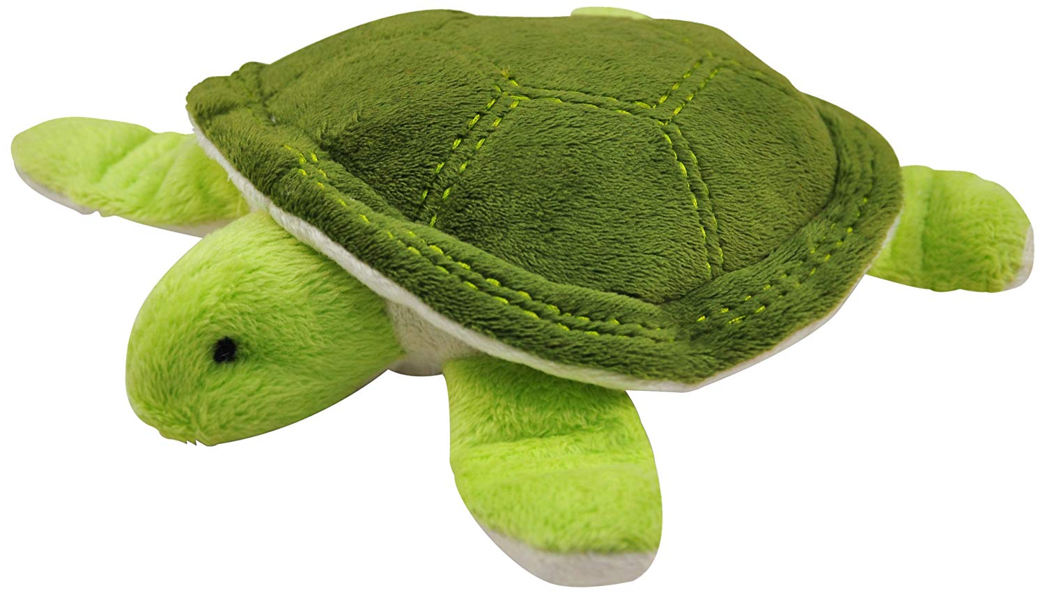 La Tortue de Mer - P.L.A.Y. Pet Lifestyle and you