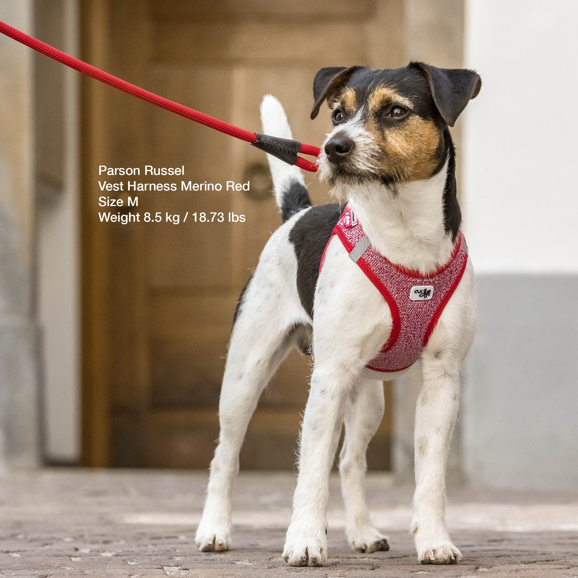 0101-0219-1-300-_ACTN-Vest-Harness-Merino-Red_Adobe_RGB_240PPI_2000x2000