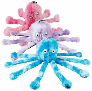 Gor Reef Octopus Pieuvre