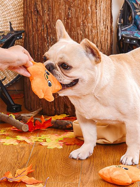 HugSmart-peluche-interactive-pour-chien-chiot-feuille-automne-3