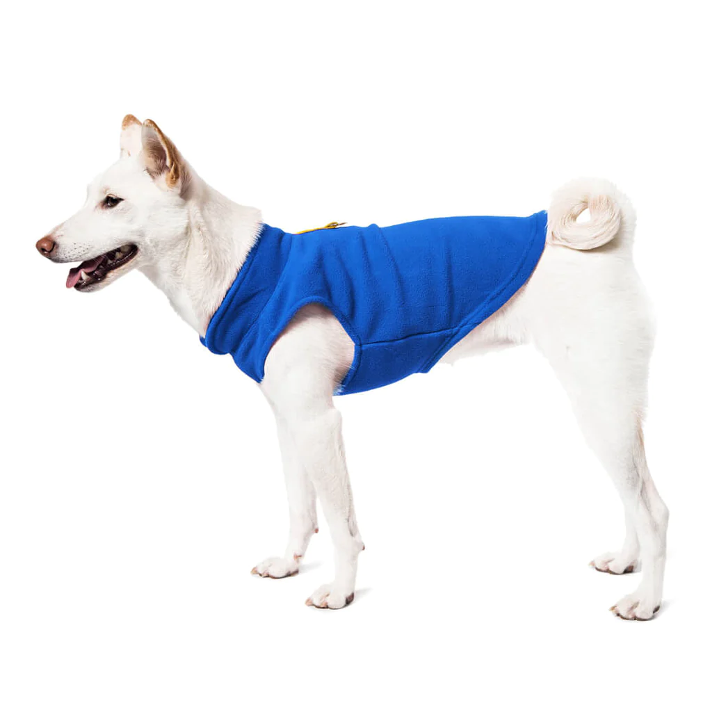 a-shiba-inu-wearing-gooby-deep-blue-fleece-vest-standing-up-side-view-1024x1024px