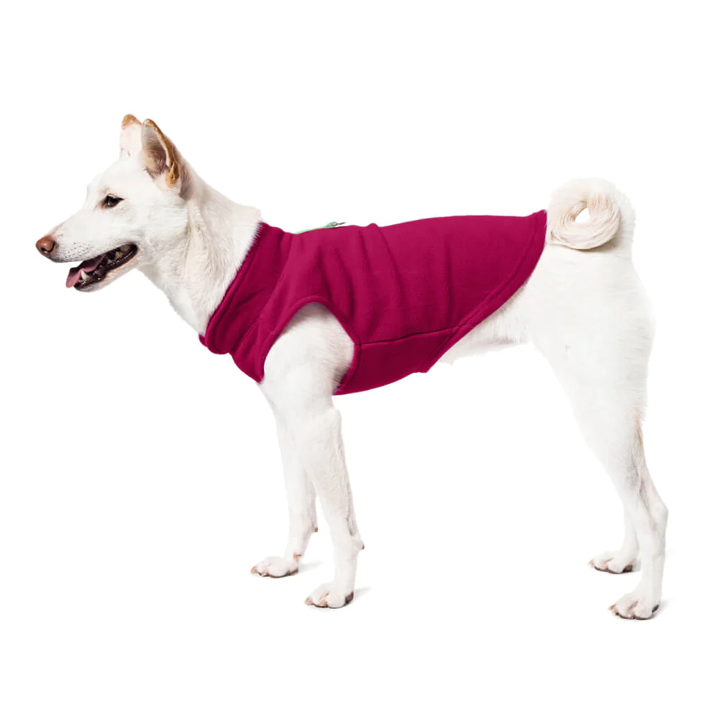 a-shiba-inu-wearing-gooby-fuschia-fleece-vest-standing-up-side-view-1024x1024px