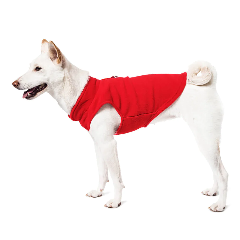 a-shiba-inu-wearing-gooby-red-fleece-vest-standing-up-side-view-1024x1024px