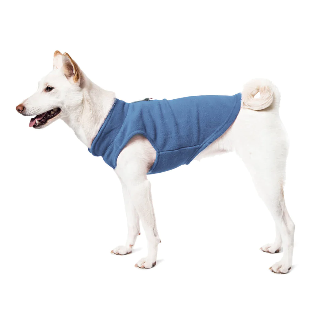 a-shiba-inu-wearing-gooby-blue-fleece-vest-standing-up-side-view-1024x1024px